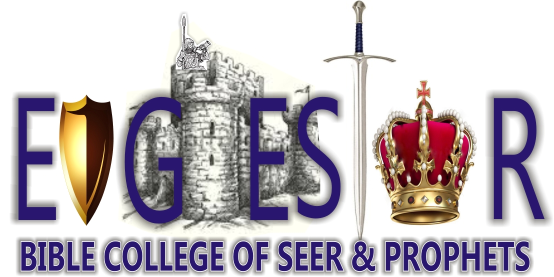 The Apostolic & Prophetic Destiny Solution Ministries, The Apostle